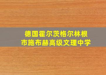 德国霍尔茨格尔林根市施布赫高级文理中学