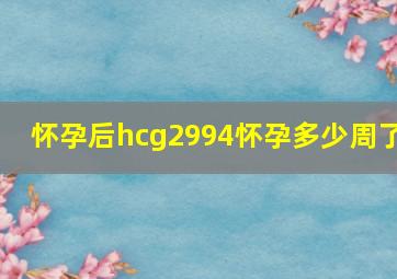 怀孕后hcg2994怀孕多少周了