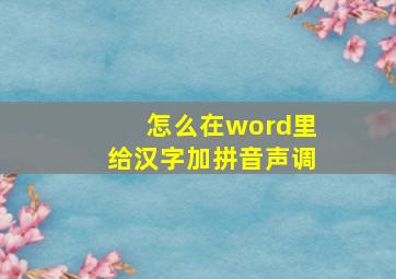 怎么在word里给汉字加拼音声调