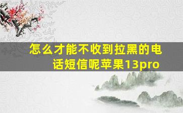 怎么才能不收到拉黑的电话短信呢苹果13pro