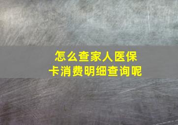 怎么查家人医保卡消费明细查询呢