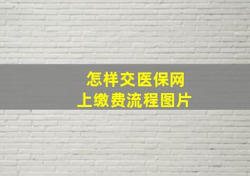 怎样交医保网上缴费流程图片