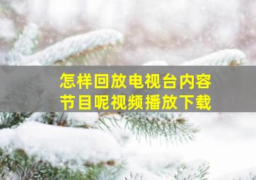 怎样回放电视台内容节目呢视频播放下载