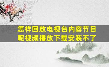 怎样回放电视台内容节目呢视频播放下载安装不了