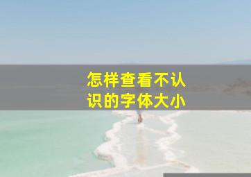 怎样查看不认识的字体大小