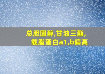 总胆固醇,甘油三酯,载脂蛋白a1,b偏高