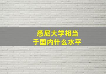 悉尼大学相当于国内什么水平