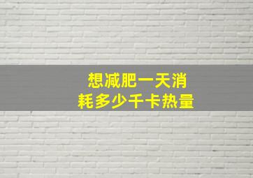 想减肥一天消耗多少千卡热量