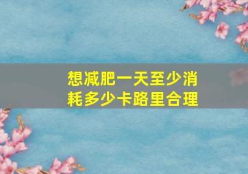 想减肥一天至少消耗多少卡路里合理