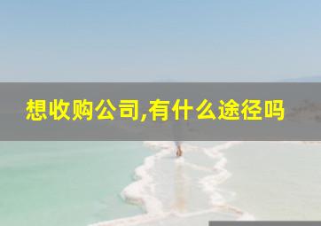 想收购公司,有什么途径吗