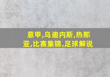 意甲,乌迪内斯,热那亚,比赛集锦,足球解说