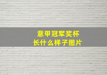 意甲冠军奖杯长什么样子图片