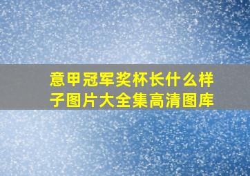 意甲冠军奖杯长什么样子图片大全集高清图库