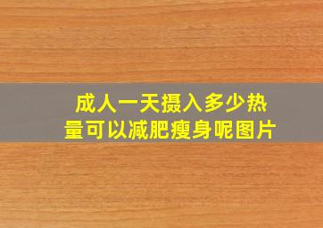 成人一天摄入多少热量可以减肥瘦身呢图片