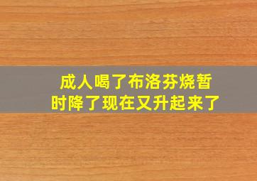 成人喝了布洛芬烧暂时降了现在又升起来了