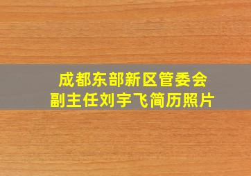 成都东部新区管委会副主任刘宇飞简历照片