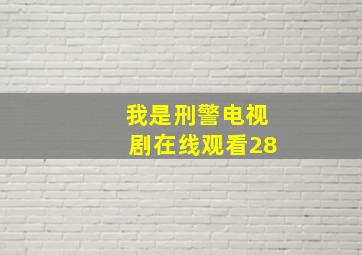 我是刑警电视剧在线观看28