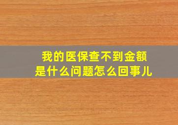 我的医保查不到金额是什么问题怎么回事儿