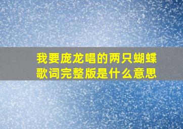 我要庞龙唱的两只蝴蝶歌词完整版是什么意思