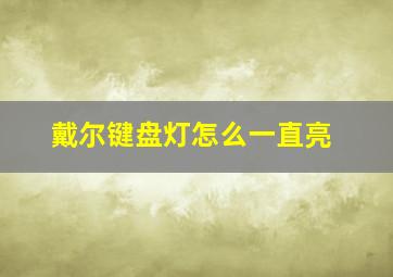 戴尔键盘灯怎么一直亮