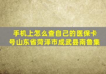 手机上怎么查自己的医保卡号山东省菏泽市成武县南鲁集