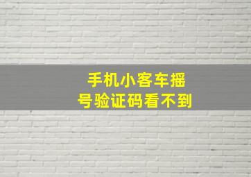 手机小客车摇号验证码看不到