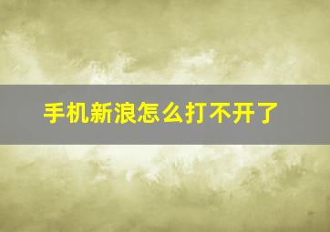 手机新浪怎么打不开了