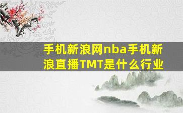 手机新浪网nba手机新浪直播TMT是什么行业