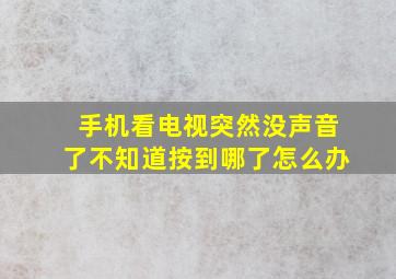 手机看电视突然没声音了不知道按到哪了怎么办