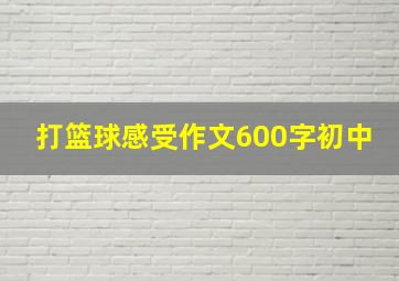 打篮球感受作文600字初中