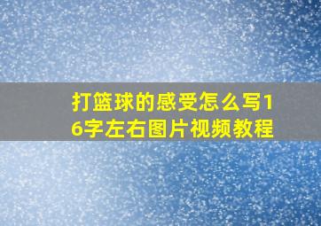 打篮球的感受怎么写16字左右图片视频教程