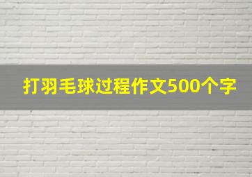 打羽毛球过程作文500个字