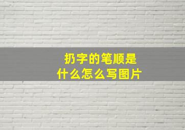 扔字的笔顺是什么怎么写图片