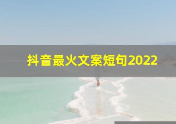 抖音最火文案短句2022