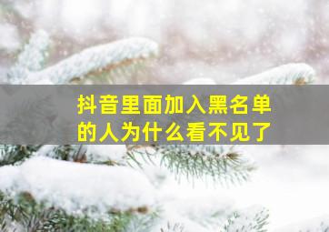 抖音里面加入黑名单的人为什么看不见了