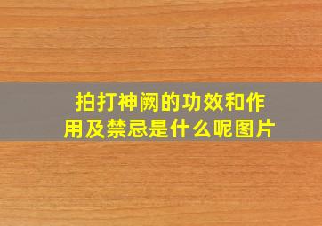 拍打神阙的功效和作用及禁忌是什么呢图片