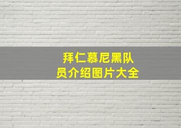 拜仁慕尼黑队员介绍图片大全