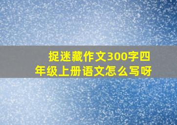 捉迷藏作文300字四年级上册语文怎么写呀