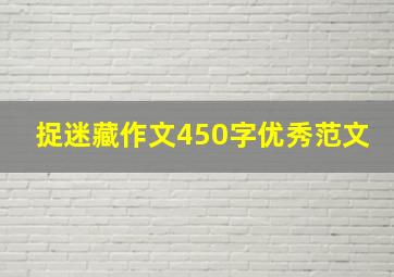 捉迷藏作文450字优秀范文