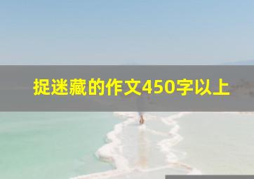 捉迷藏的作文450字以上