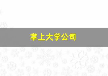 掌上大学公司