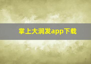 掌上大润发app下载