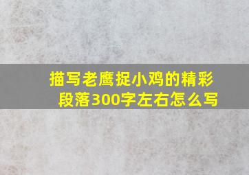 描写老鹰捉小鸡的精彩段落300字左右怎么写