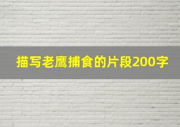 描写老鹰捕食的片段200字