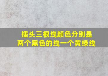 插头三根线颜色分别是两个黑色的线一个黄绿线