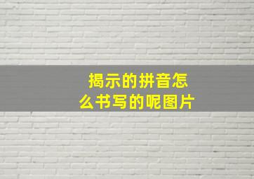 揭示的拼音怎么书写的呢图片