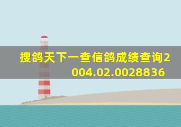 搜鸽天下一查信鸽成绩查询2004.02.0028836