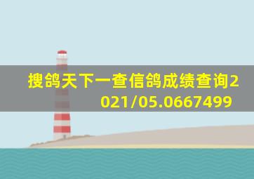 搜鸽天下一查信鸽成绩查询2021/05.0667499