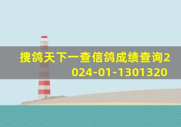 搜鸽天下一查信鸽成绩查询2024-01-1301320