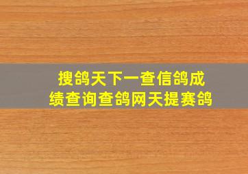 搜鸽天下一查信鸽成绩查询查鸽网天提赛鸽